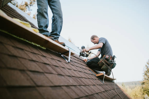 Quick and Trustworthy Emergency Roof Repair Services in Pinewood Estates, TX